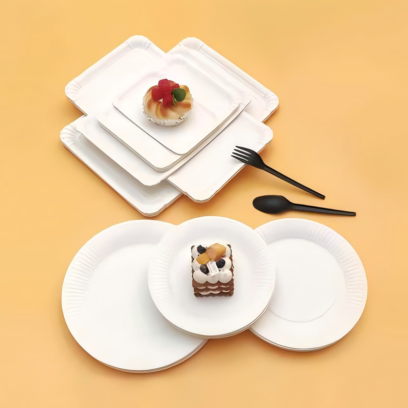 Paper Plate