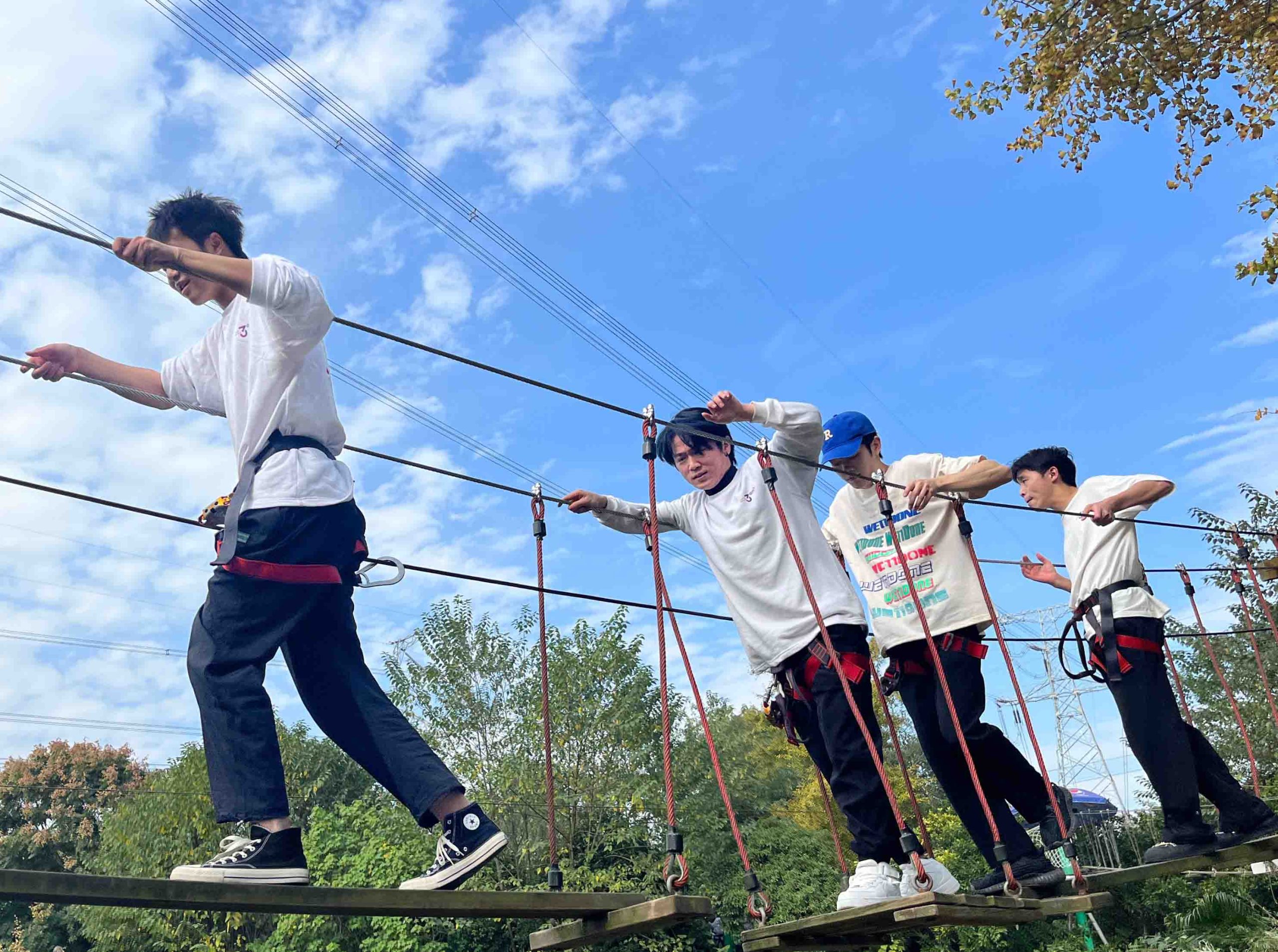 Team watching giant panda in Chengdu
